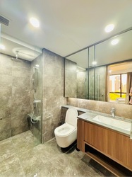 Kopar At Newton (D9), Apartment #488516751